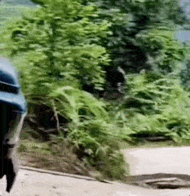 “以前在重庆学车，教练吐槽我，连重庆的路你都开不好，回贵州怎么办”