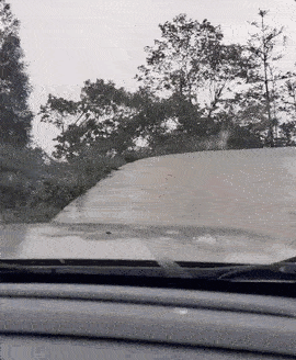 “这里到处都是特技车手，他们不当教练就是驾校的损失”