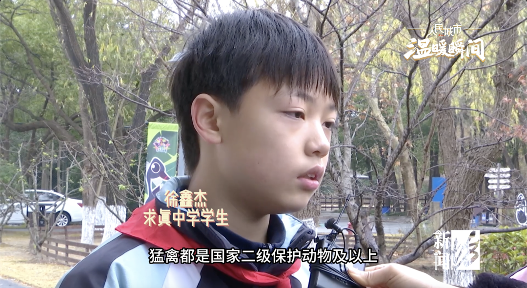 徐鑫杰求真中学学生国家二级保护动物——游隼眼前这只小动物好像是