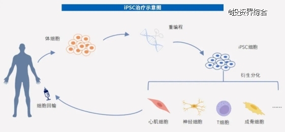 百度云加速对seo咋样