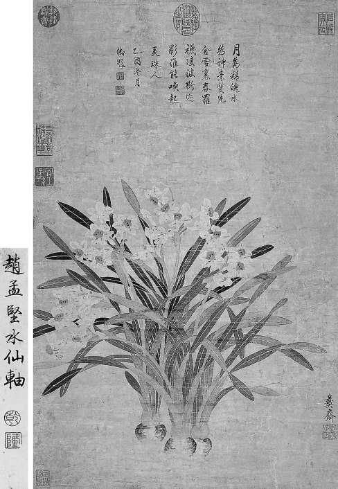赵孟坚 水仙图