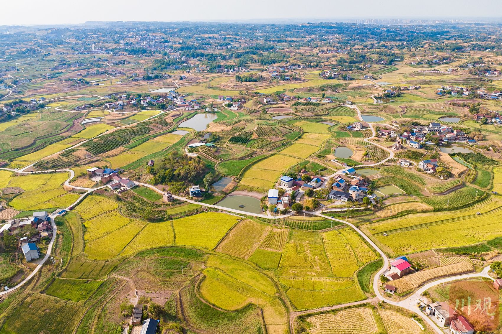 资中乡村风貌。唐广 摄