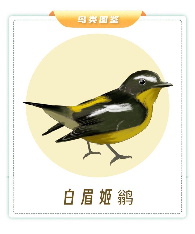 南京观鸟地图告诉你!