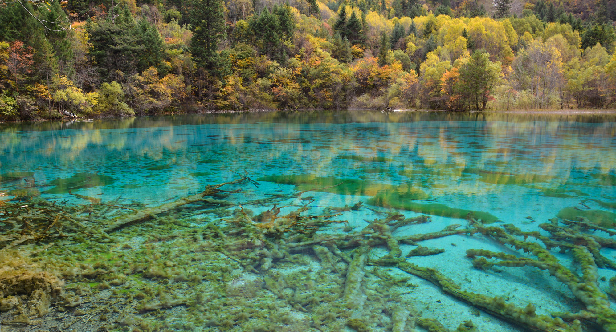 四川阿坝九寨沟秋日风光&nbsp;图据视觉中国