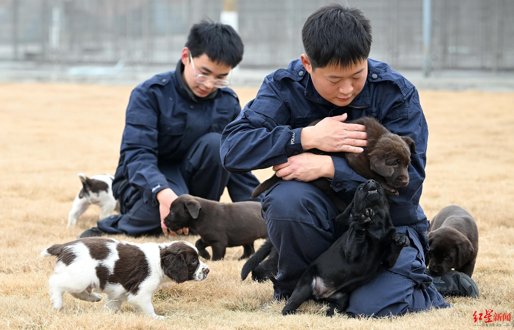>滚动新闻>正文>每当江华看着自己训练出来的警犬,眼里总是充满了信任