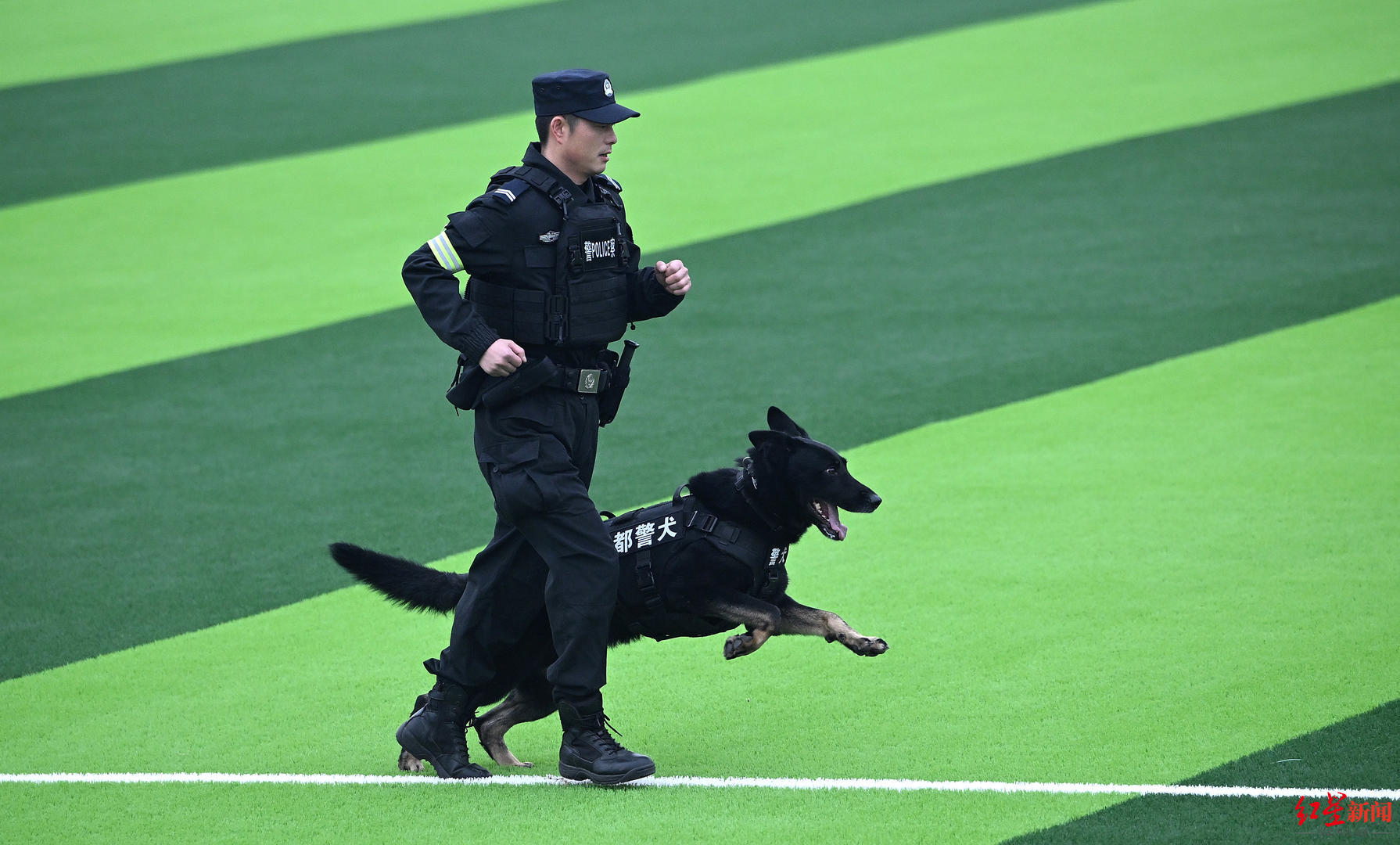 把警察训练成警犬图片