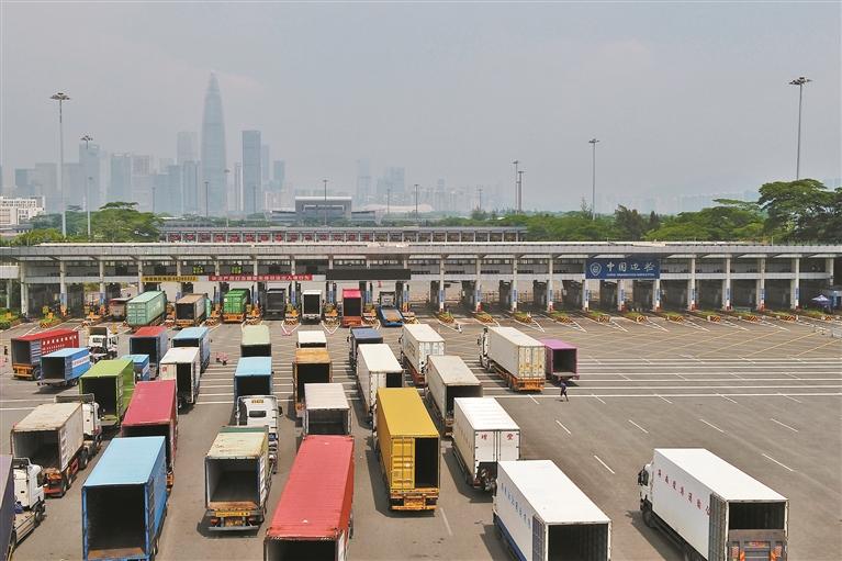 深圳湾口岸跨境货柜车逐年增长.(深圳湾边检站供图)