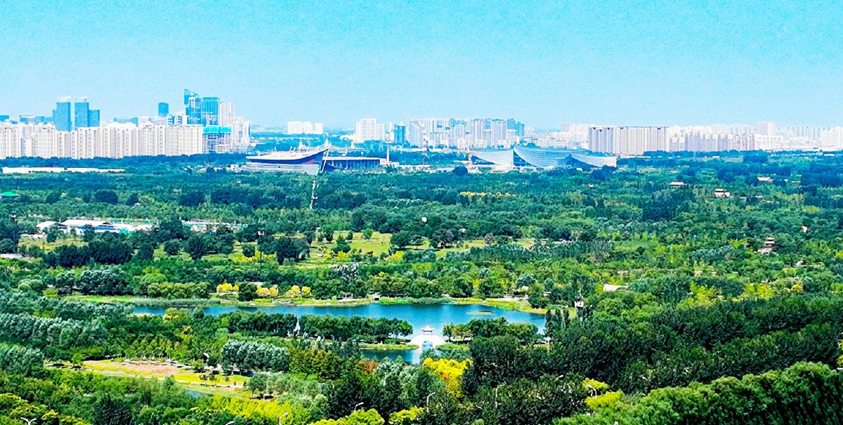 城市绿心森林公园蓝绿交织,景色如画.(资料图)记者 常鸣/摄