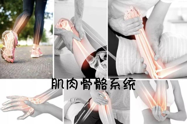 什么是短波治疗“咳咳咳”怎么办，超短波治疗来帮忙！_https://www.jmylbn.com_新闻资讯_第4张