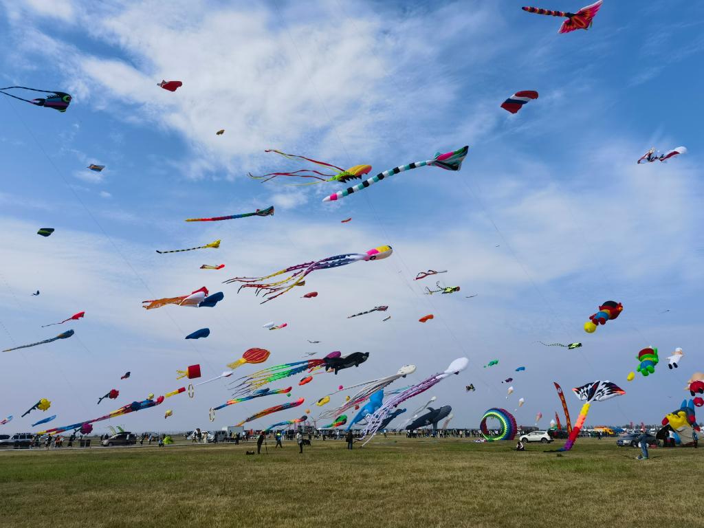 2023年9月26日,在潍坊滨海国际风筝放飞场,形态各异的风筝在空中飞舞.