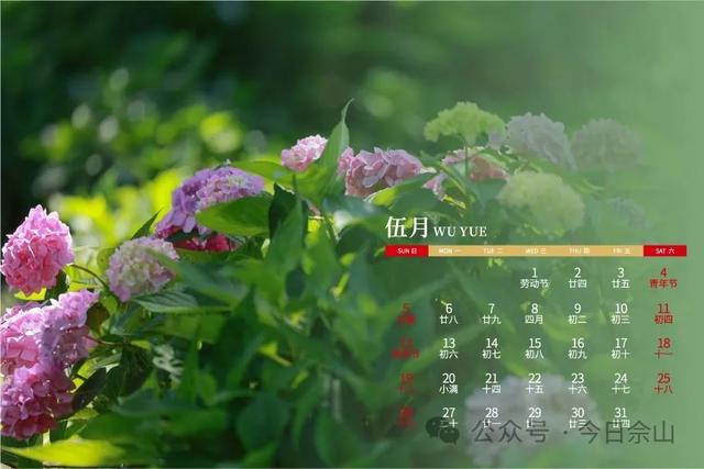 2024佘山专属月历来了→_新浪财经_新浪网