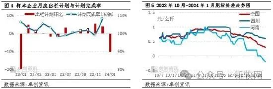 多家机构预测!12月末能繁母猪或同比再降10%?