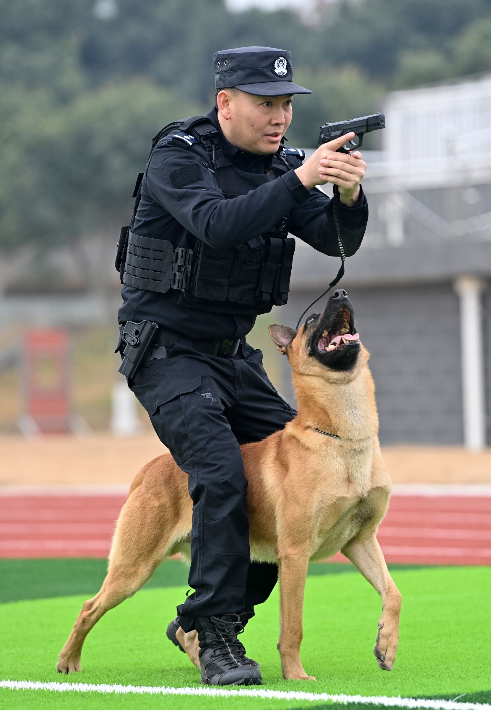 警犬配合民警进行作战训练.张磊 摄