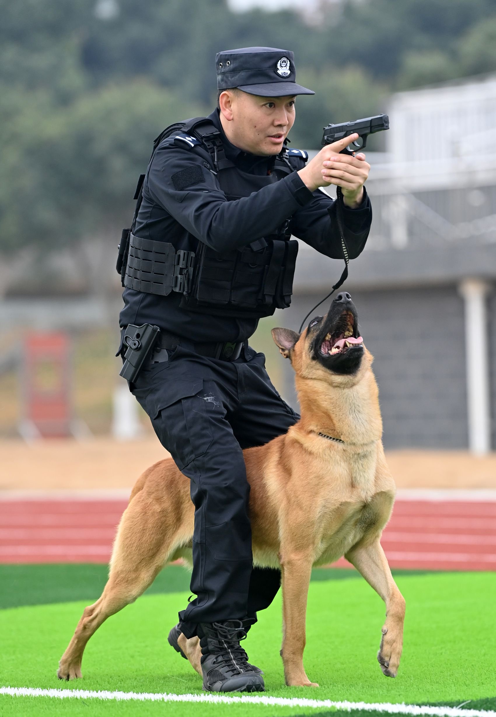 警犬配合民警进行作战训练.张磊 摄