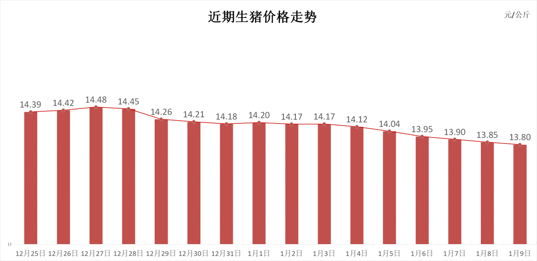 每日猪讯1.9