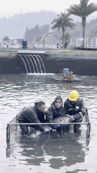 图源自：博主@上层风格多面体