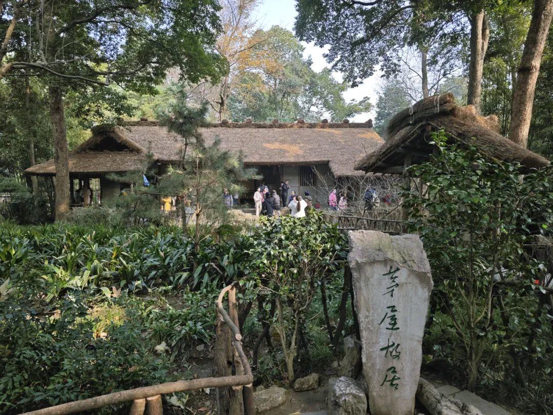 "1月9日,记者来到杜甫草堂茅屋景区,在温暖的冬日阳光下,厚厚的茅草