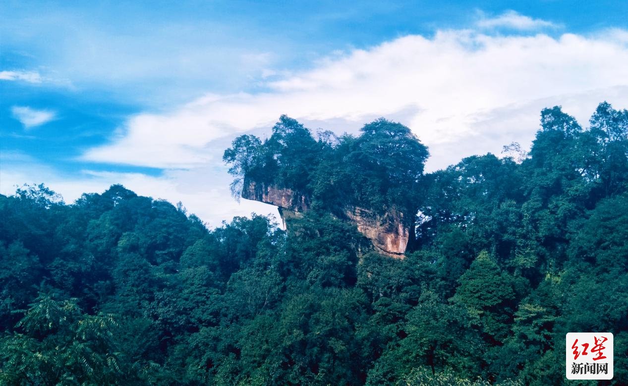 成都邛崃天台山:荧光点亮生态富_新浪财经_新浪网