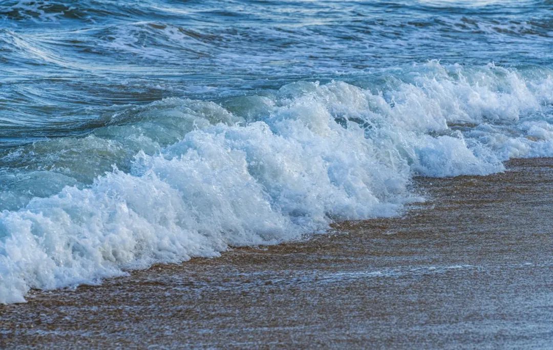 台海观澜 台湾大选还剩1天，选前之夜造势活动成焦点民进党_新浪财经_新浪网