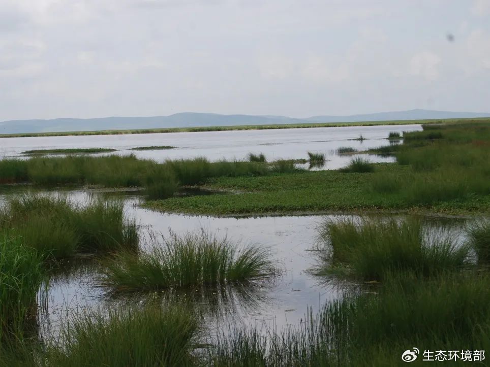 第二批美丽河湖优秀案例96 | 四川阿坝花湖|阿坝_新浪财经_新浪网