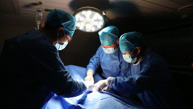 心电监护怎么开堪比大片！解放军海上卫勤演训现场画面公开!_https://www.jmylbn.com_新闻资讯_第24张