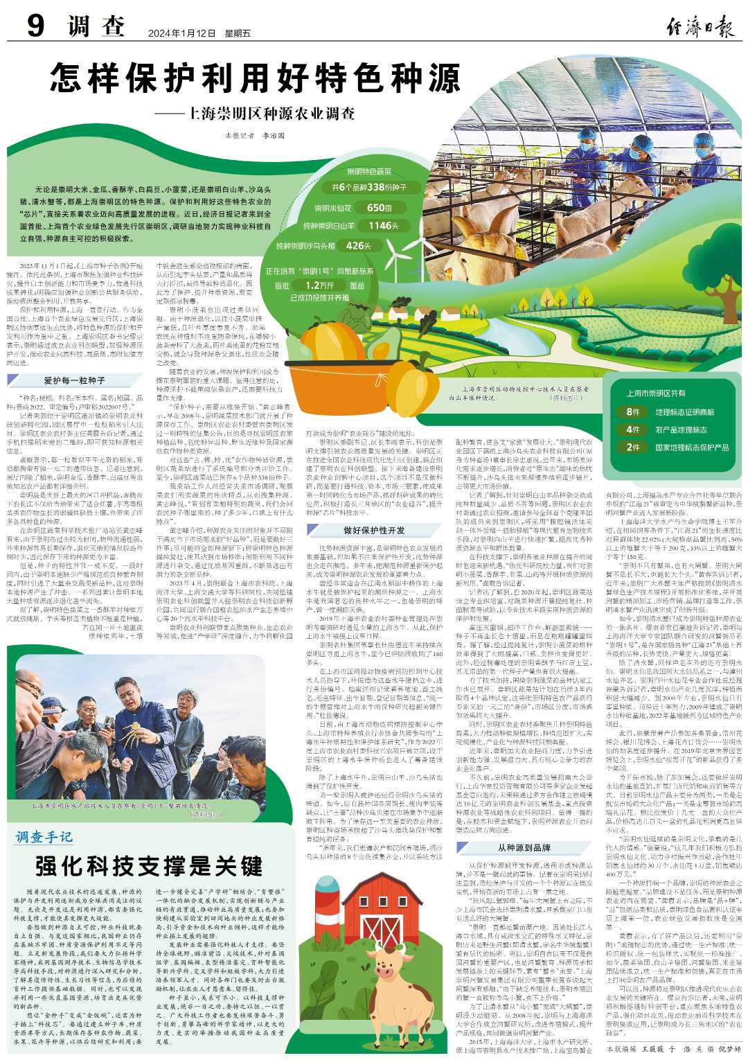 怎样保护利用好特色种源——上海崇明区种源农业调查|上海市_新浪财经_新浪网
