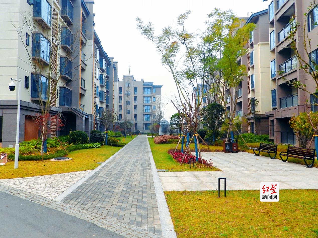 新年住新居!成都双流区黄龙溪镇安置房建设为居民幸福"加码"