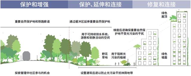 城市再野化:大伦敦的生物多样性保护探索_新浪财经_新浪网