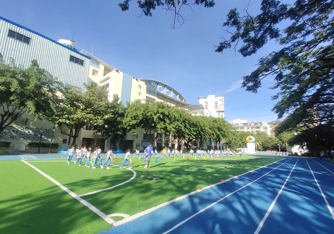 三亚市第九小学党支部:工作坊赋能教师成长