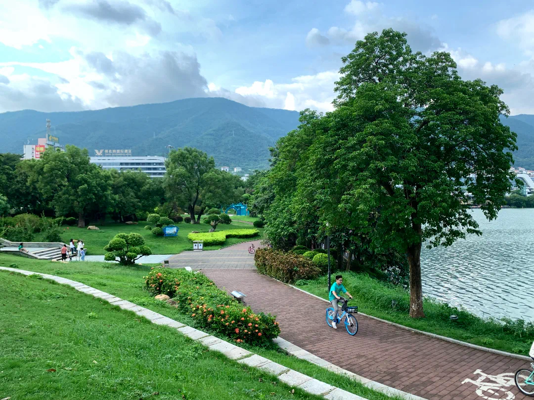 新春去哪儿?请到肇庆过大年!休闲康养游,准备出发!