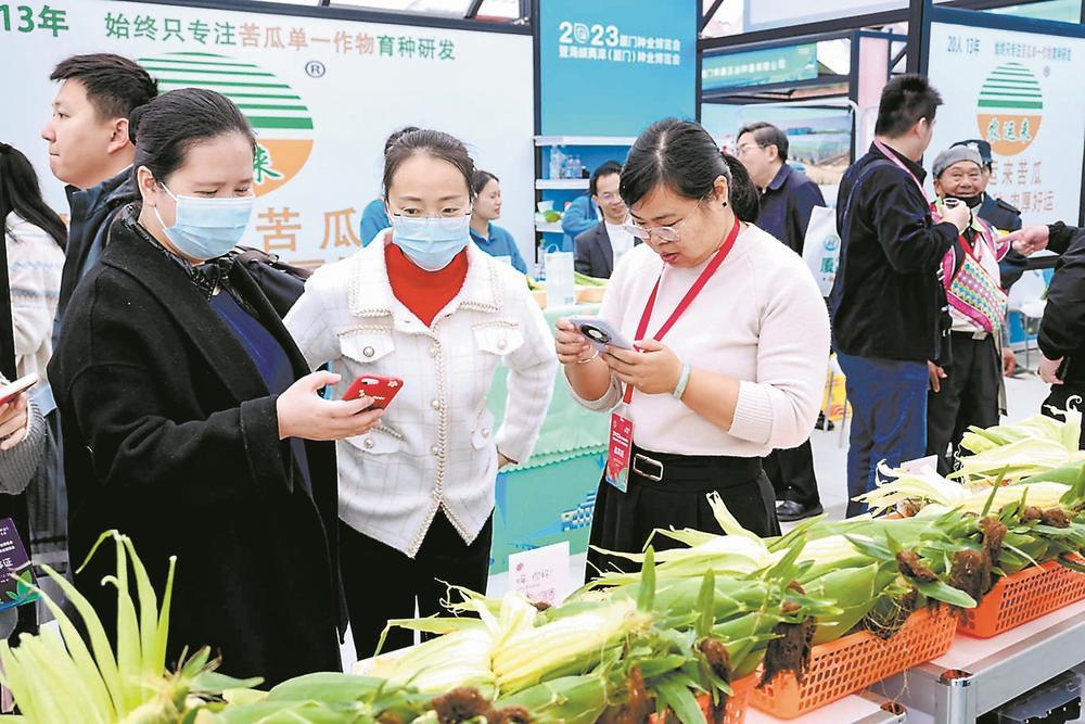 不久举行的海峡两岸(厦门)种业博览会上,参展商在挑选优良的蔬菜品种