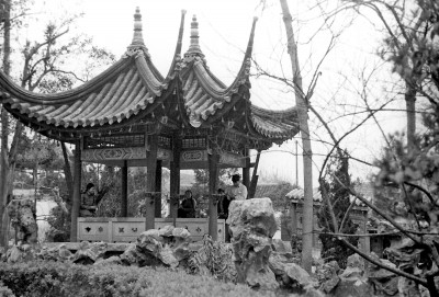 游走在建筑与园林间_新浪财经_新浪网