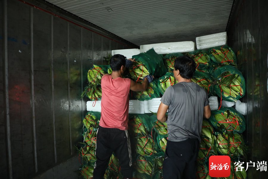 工人正将玉米装车.记者 郑光平 摄