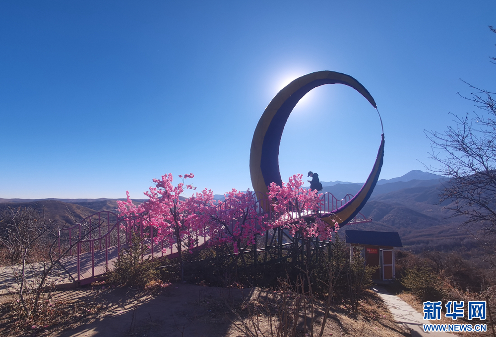 甘肃康乐:冬日白桦林别样美