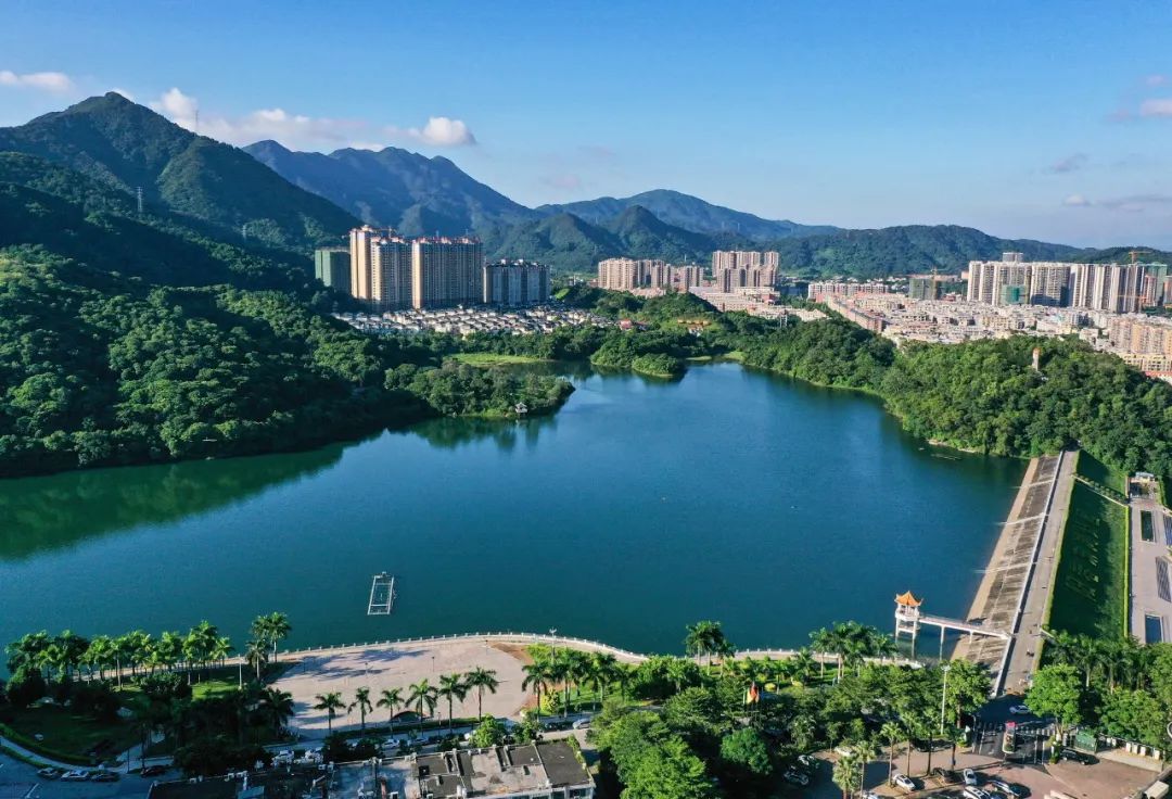 阳春东湖公园.梁文栋&nbsp;摄