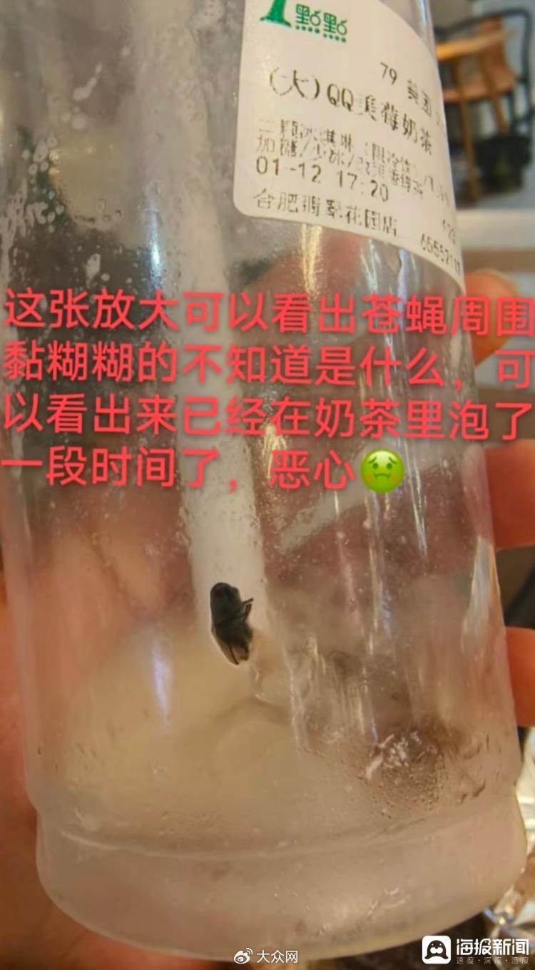 陈女士称，奶茶中有一只苍蝇。受访者供图