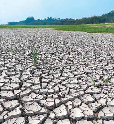 年,受厄尔尼诺现象影响,巴西亚马孙州阿卡贾图巴湖畔的土地遭遇干旱