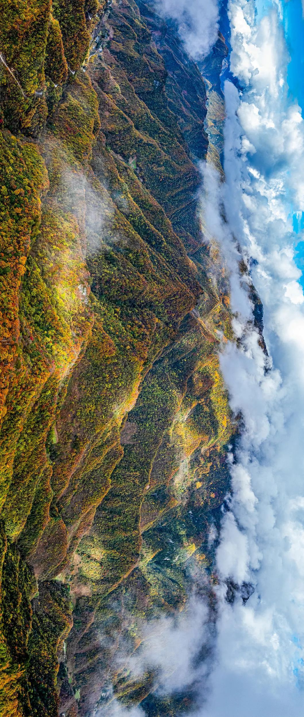 大巴山&nbsp;图源/视觉中国