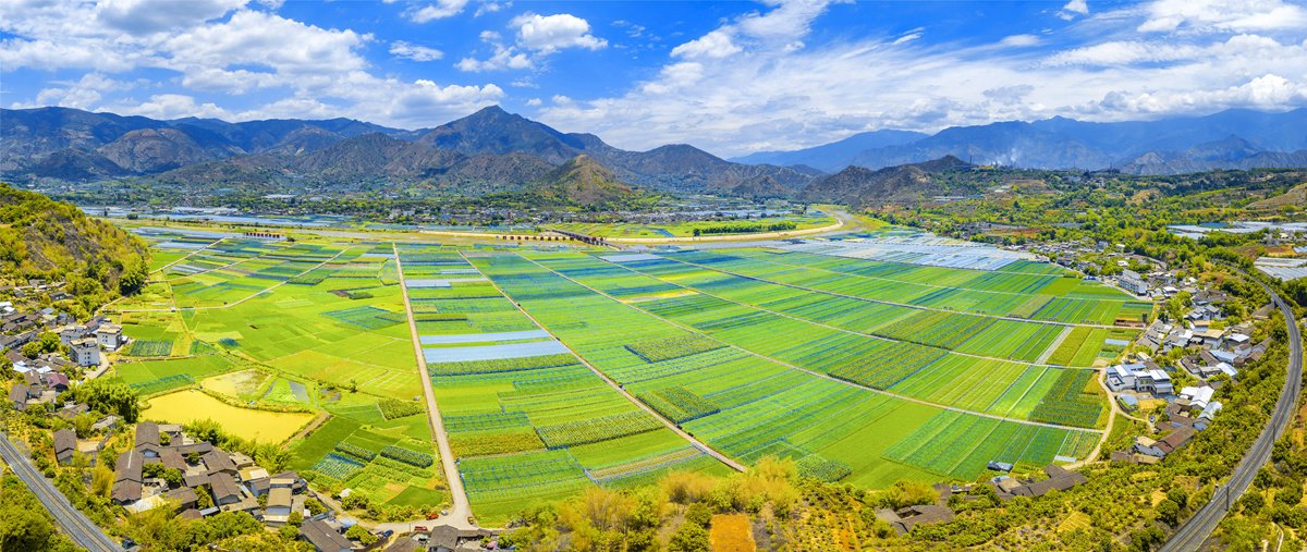 ​市州观察丨三个维度解读攀枝花农村集体经济的"致富密码"|集体经