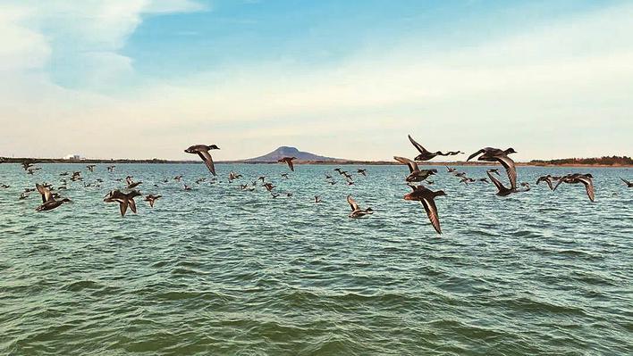 美麗的赤山湖溼地公園 資料圖片