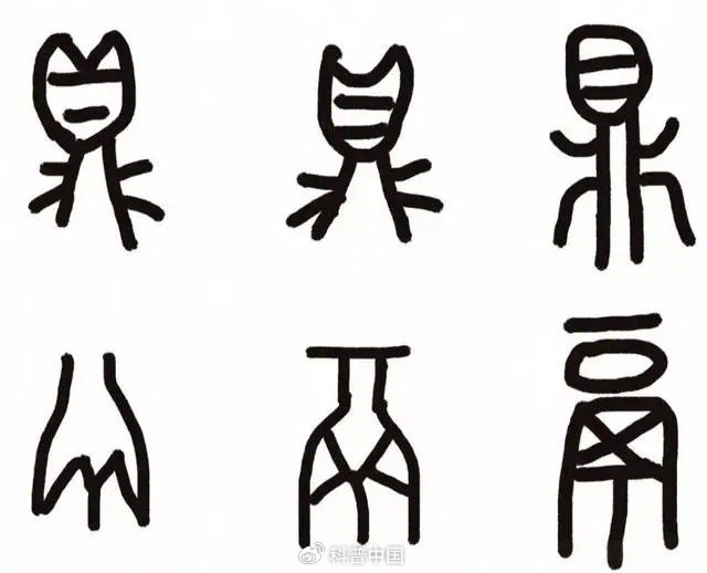 鼎鬲古文字部分对比图.