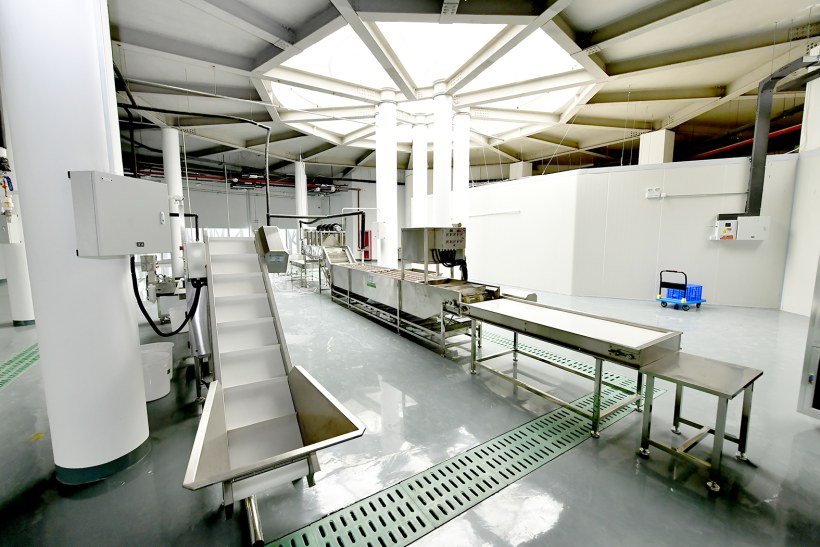 蔬菜加工配送中心净菜加工生产线.记者 唐建/摄