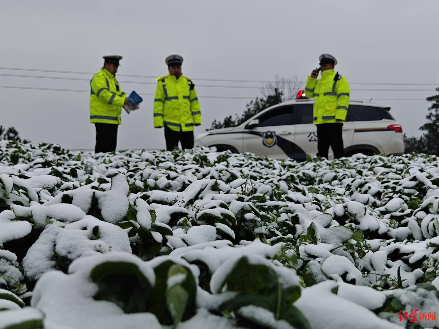 ▲南充多地迎来降雪