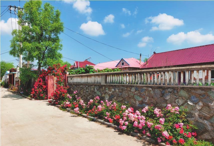 春季,鲜花装扮下的庄河市城山镇城山村.大连市农业农村局供图