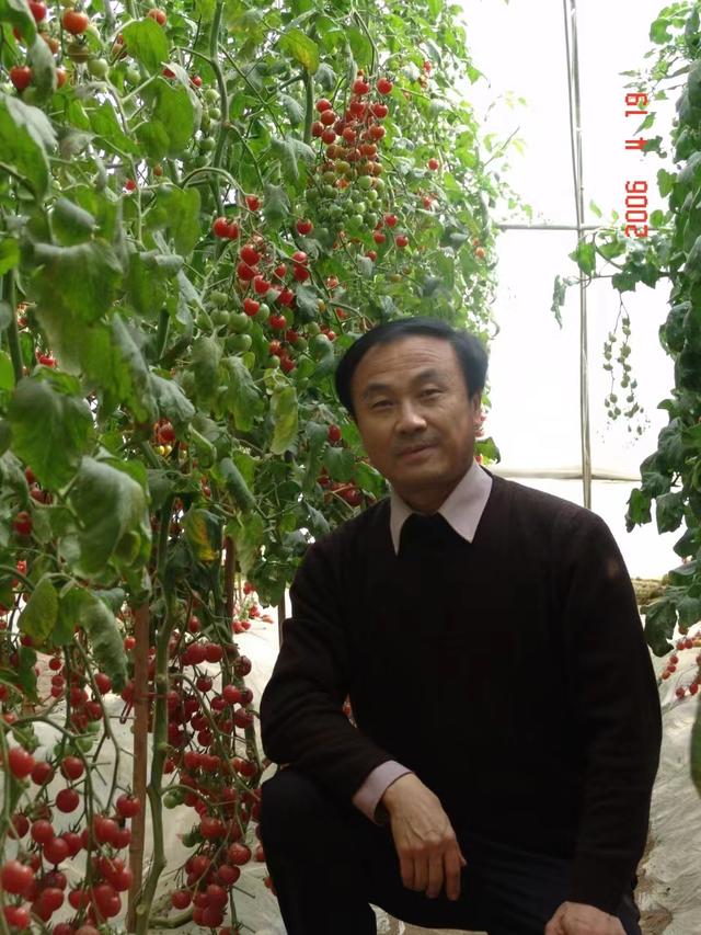 曹华,北京市农业技术推广站名优蔬菜专家.受访者供图