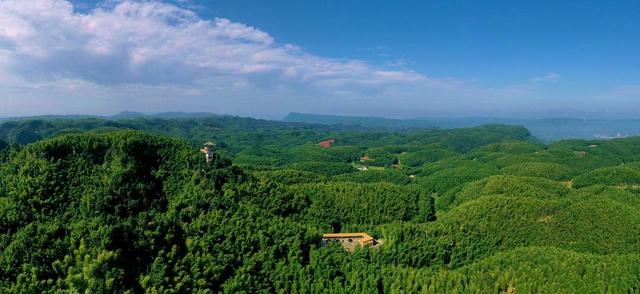 (纳溪区融媒体中心供图)