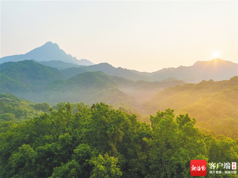 航拍海南热带雨林国家公园五指山片区.海南日报记者李天平 摄