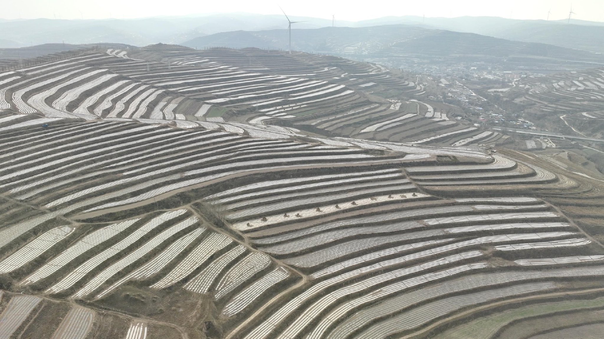 近年来,通渭县覆膜面积保持在90万亩以上,占农作物耕地面积近70%