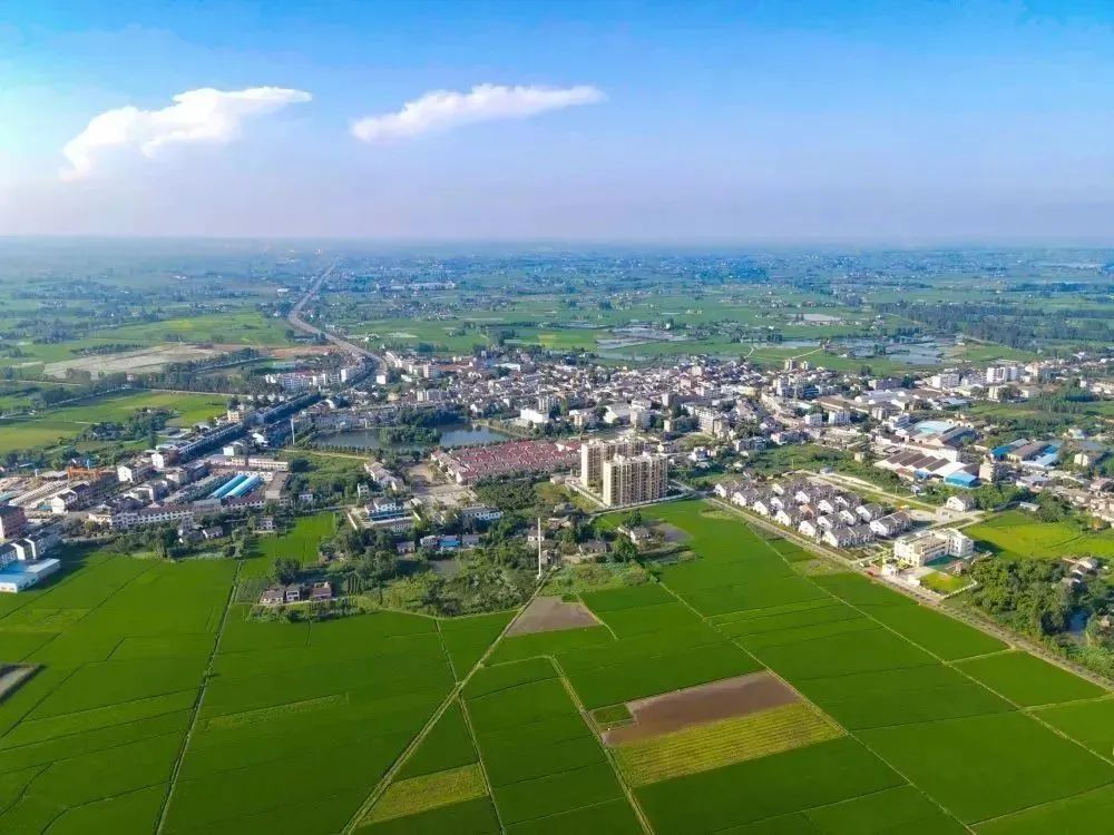 市问安镇宜昌上榜数量居全省前列涉及优质稻,柑橘茶叶等五大产业湖北