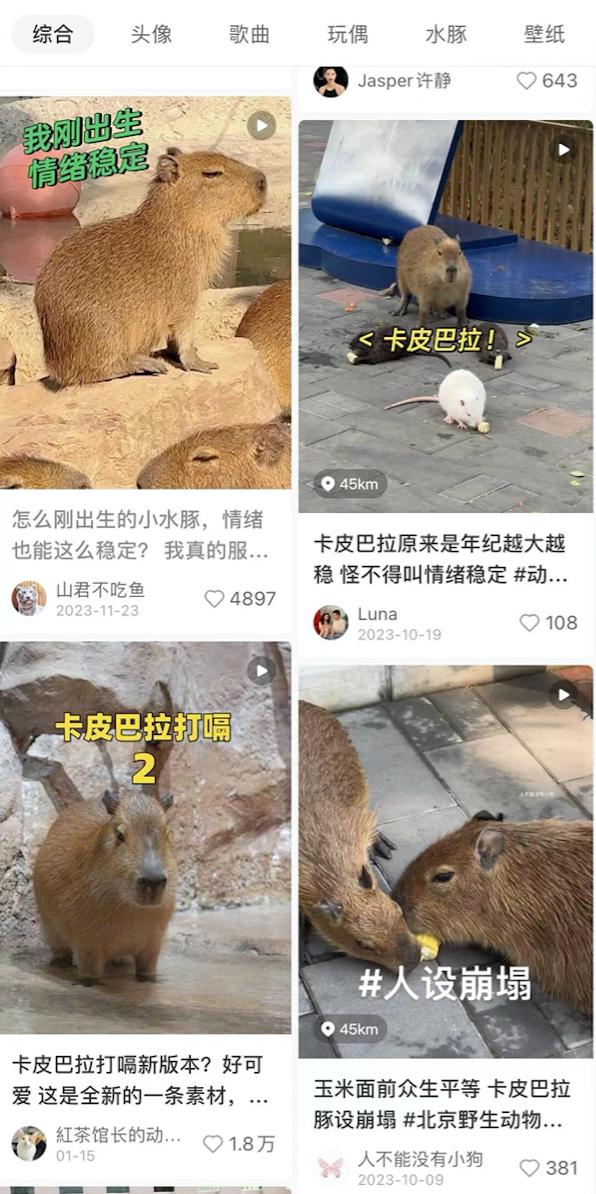卡皮巴拉在互联网上的走红主要体现在两个方面:广泛流传的水豚表情包
